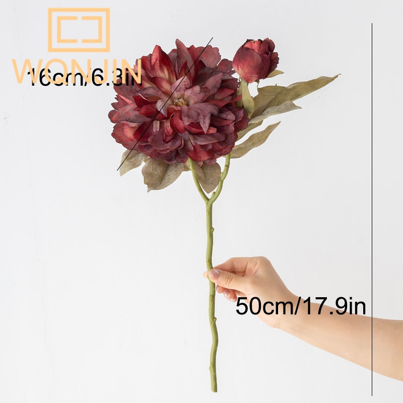 1PC Light Luxury 2 Head Big Pe - Photography Lighting Home 评论和价格