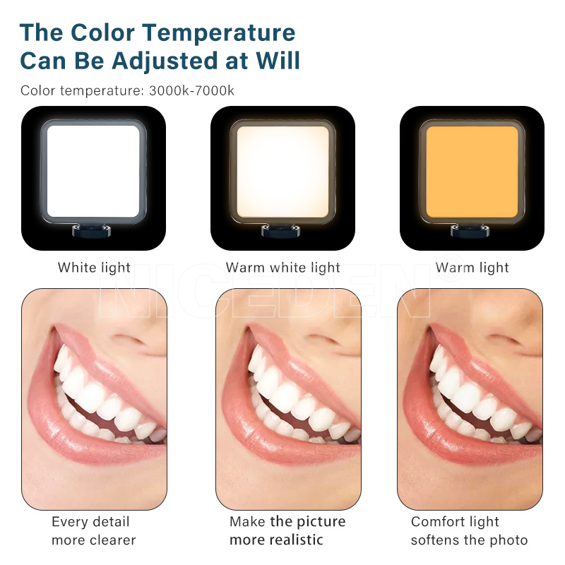 Niceden Dental portable Flash  - Photography Lighting Flash 评论和价格