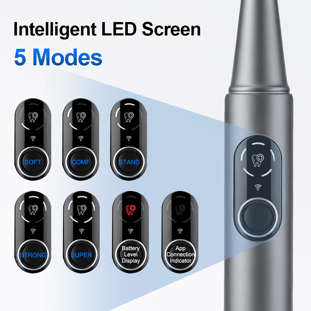 New Visual Ultrasonic Dental S - Photography Lighting Patterns 评论和价格