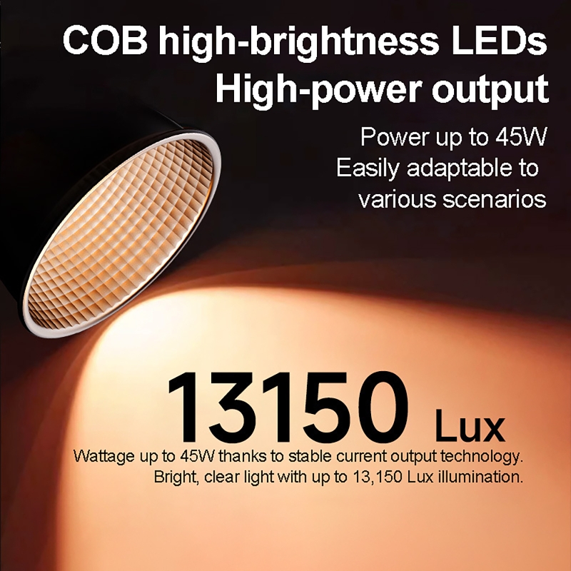 60W RGB Video Light Portable L - Photography Lighting Background 评论和价格